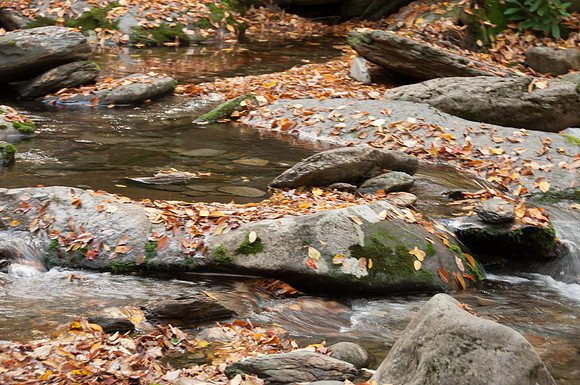 Beside Alum Cave Trail