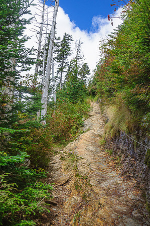 LeConte-092713-52