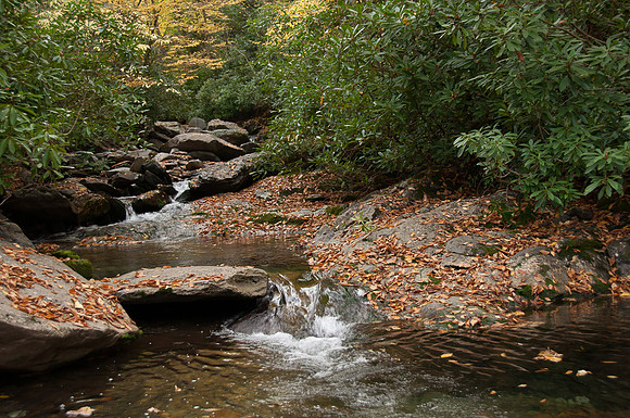 Beside Alum Cave Trail