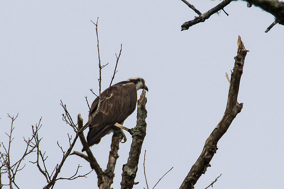 Melton Lake Greenway