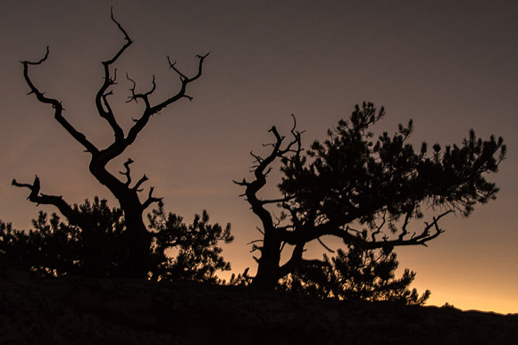 Grand Canyon National Park - North Rim