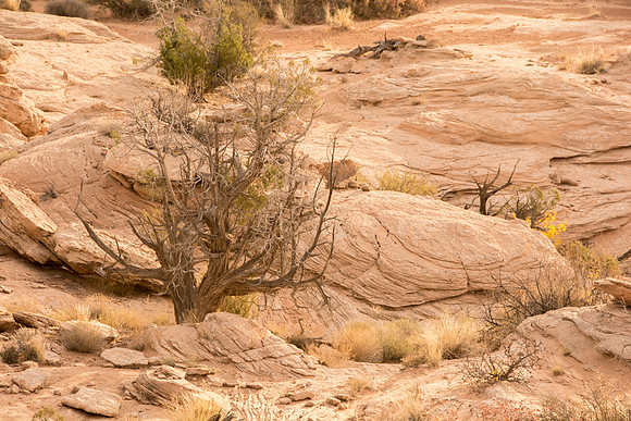 Arches National Park