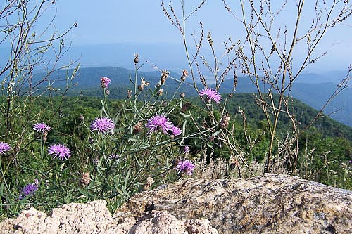 Blue Ridge Parkway, VA