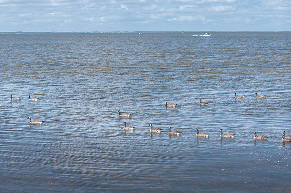Duck, NC