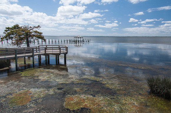Duck, NC