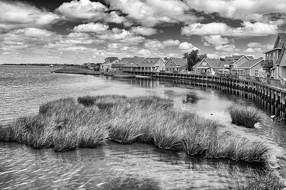 Duck, NC