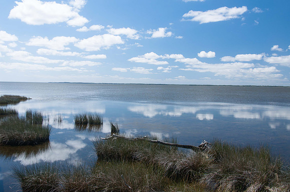 Duck, NC