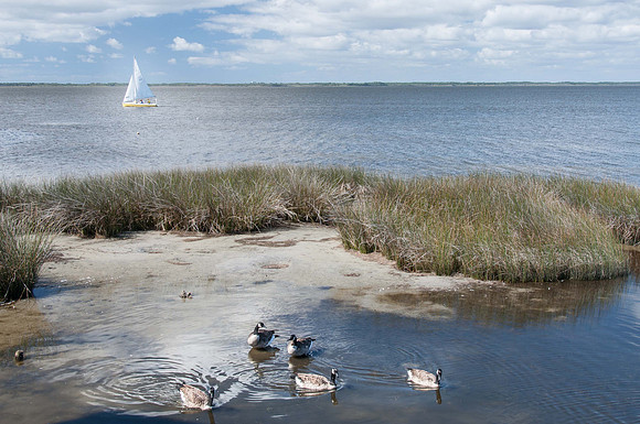 Duck, NC