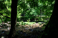 _DSC0256