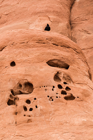 Arches National Park