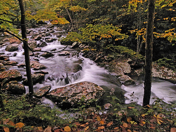 Tremont