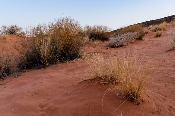 Valley of Fire