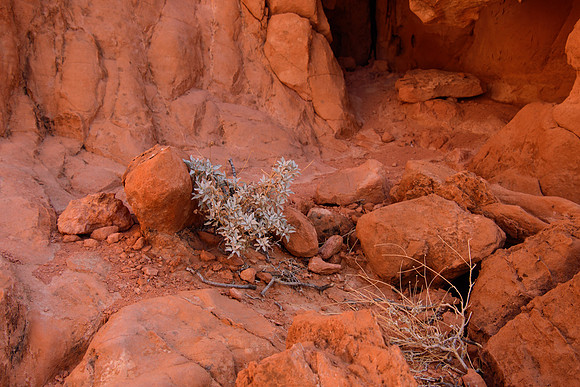 Valley of Fire
