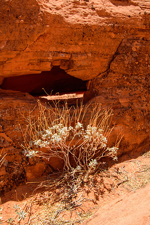 Valley of Fire