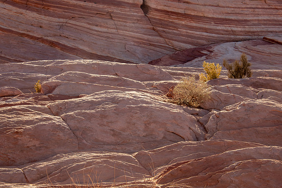 Valley of Fire