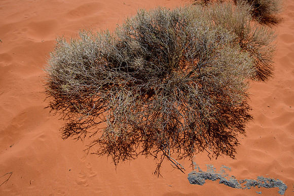 Valley of Fire
