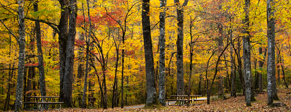 Collins Creek Picnic Tables