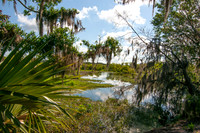 Circle B Bar Reserve