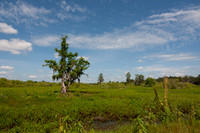 Circle B Bar Reserve