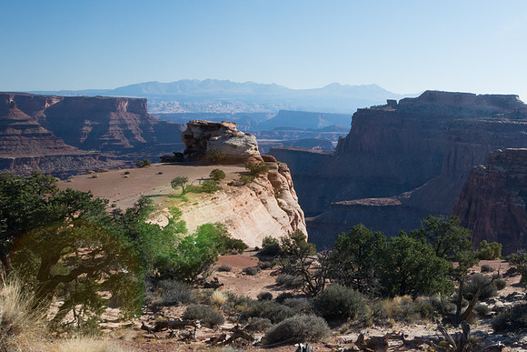 Shafer Overlook