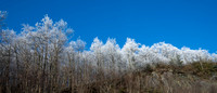 Cherohala Skyway