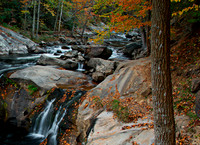 Tellico River