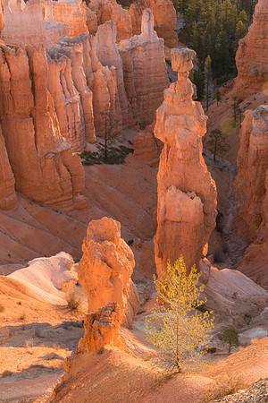 Bryce Canyon National Park
