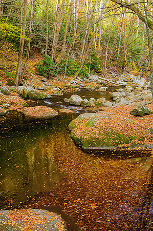 Big Creek - Under the Bridge at 2.5 Miles