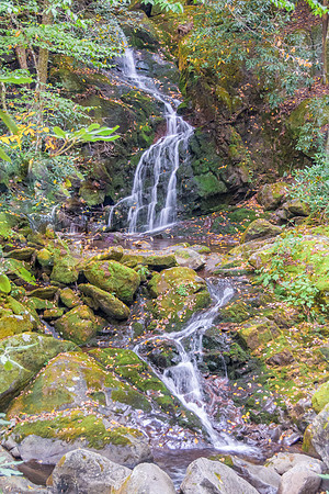 Mouse Creek Falls