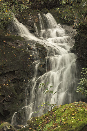 Mouse Creek Falls