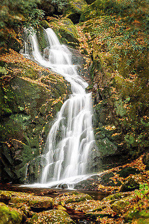 Mouse Creek Falls