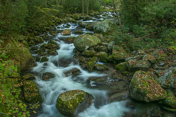 From Bridge Above Mouse Creek Falls