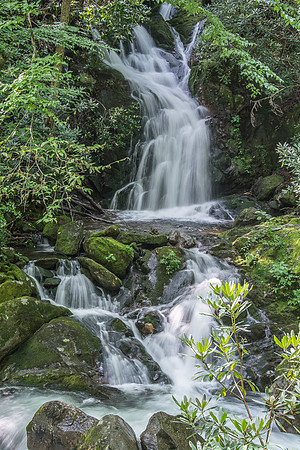 Mouse Creek Falls