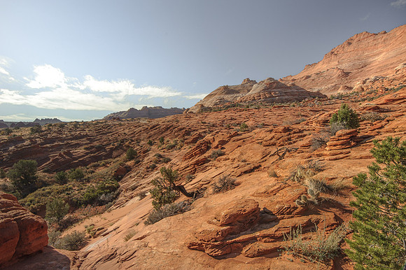 Coyote Buttes North - The Wave