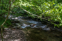 _DSC0420