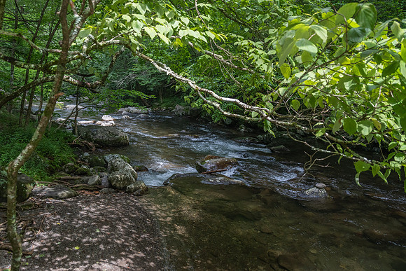 _DSC0420