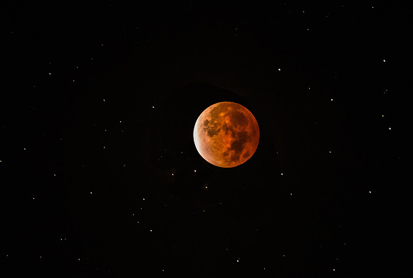 Lunar Eclipse
November 19 at 4:19 AM