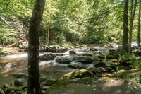 _DSC0471