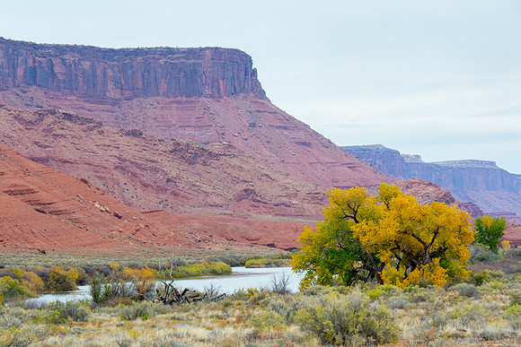 Colorado River Near La Sal Loop Road