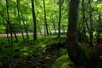 _DSC0255