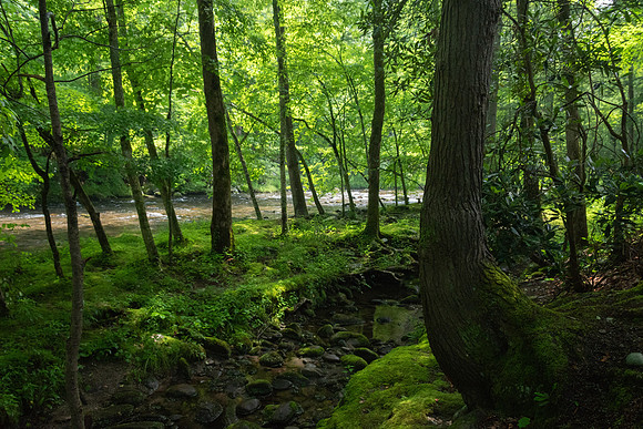 _DSC0255