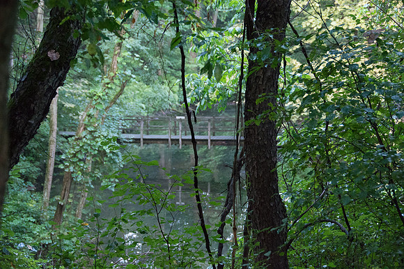 Lake Anne, Morraine State Park