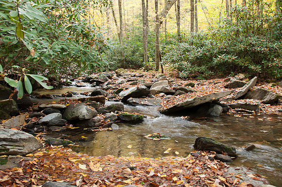 Beside Alum Cave Trail