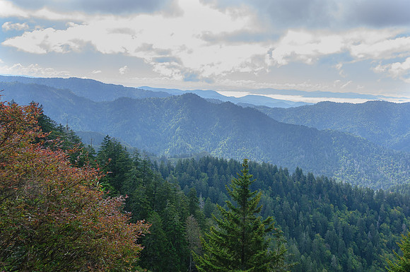 LeConte-092713-43