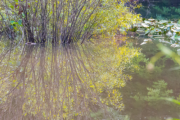 Lake Anne, Morraine State Park