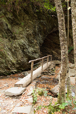 Beside Alum Cave Trail
