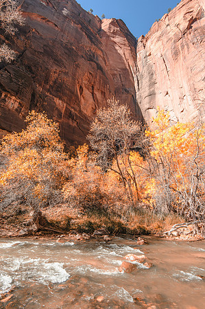 Zion National Park - Beside the Virgin River