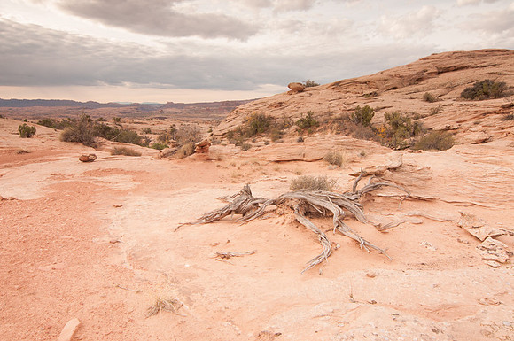 Arches National Park