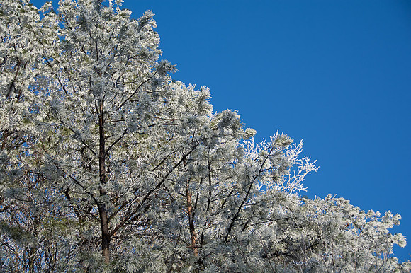 Cherohala Skyway