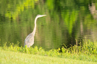 _DSC0004
